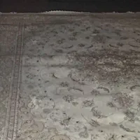 پونصد شونه ...تمام نخ