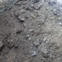 فروش کود گوسفند