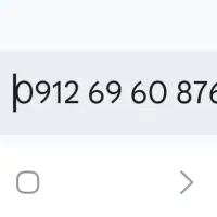 سیم کار ۰۹۱۲ خط خاص پسند 876 60 69