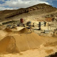 بازاریاب میدانی