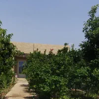 اجاره روزانه هفتگی و ماهانه باغ ویلا سوئیت