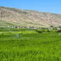 نیاز فوری به ۵نفر کارگر وارد
