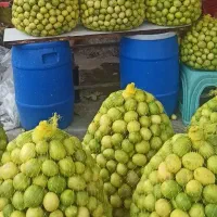 آبغوره ابلیمو سالار