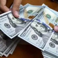 ضامن وگیرنده