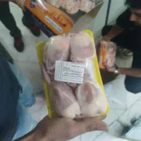 بلدرچین