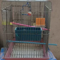 قفس پرنده