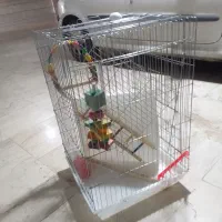 قفس پرنده