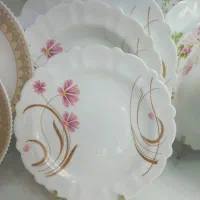 ارکوپال ۲۵پارچه