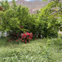 فروش ملک