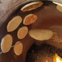 شاطر تنوری