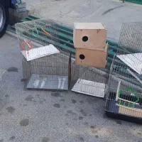 قفس پرنده