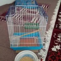 قفس پرنده