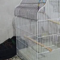 قفس بزرگ