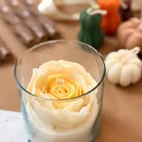 شمع|صنایع دستی و سایر لوازم تزئینی|رشت, گلسار|دیوار