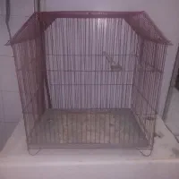 قفس مرغ عشق