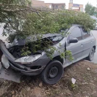 ۲۰۶ مدل ۹۶