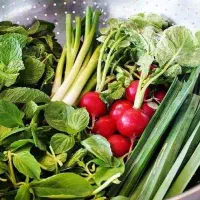 حراج سبزی محلی پاک شده بسته ای ۱۲ تومن