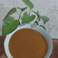 خاکشیر تمیز و تازه