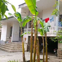 خونه ویلای ، بمساحت ۶۰۸ متر