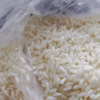برنج سرلاشه ایرانی قیمت مناسب وعطر بوی خوش