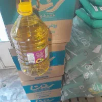 مفت مفت مفت
