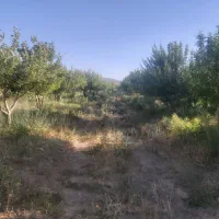 باغ-با-منظره-ای-دلنواز-در-جوار-دو-رودخانه