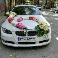 تشریفات عروسی باخدماتی تضمینی وحرفه ایی