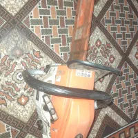 برش انواع درخت و اصلاح درخت در خاش