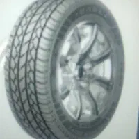 لاستیک