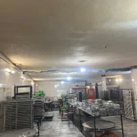 نیروی کار خانم