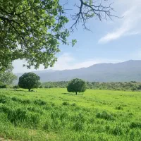 زمین مسکونی جمال اباد