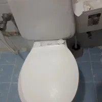 توالت فرنگی