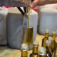 روغن زیتون طارم