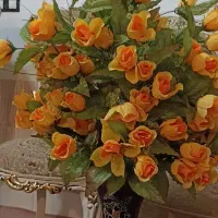 گل گلدان|گل و گیاه طبیعی|ملایر, |دیوار