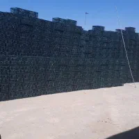 سبد گوجه ،سیب ،انگور