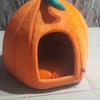 خونه گربه