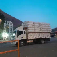 کاه برداشت ۱۴۰۵درخدمتم نرم گوسفندی و درشت برای گاو
