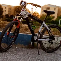 دوچرخه ویوا بوفالو