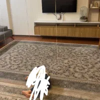 دو فرش بهشتی تبریز ۱۲۰۰ شانه طرح لیلیان۶ و ۴ متری