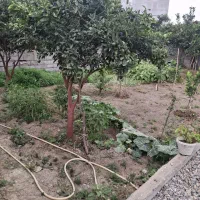 خونه باغ