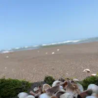 فایل های زمین و ملک در چاف و چمخاله کانال تخصصی