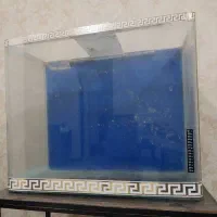 اکواریوم خم شرکتی با پایه  طول۷۰ارتفاع۶۰عرض۴۰