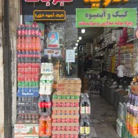 رب روژین اورگانو فول تایم