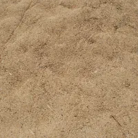 گندم|گل و گیاه طبیعی|شوشتر, |دیوار
