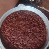 رب خانگی