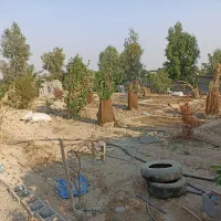 زمین باغی