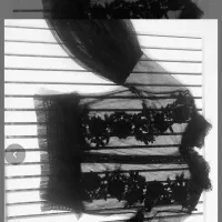 همه با هم‌یه تومان