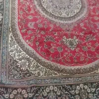 فرش|فرش|شیراز, حومه شیراز|دیوار