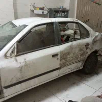 سمند تصادفی