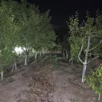 باغ ۱۳۰۷ متر در آبیک مالی اباد